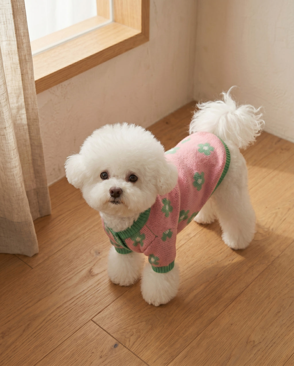 Daisy knit dog cardigan