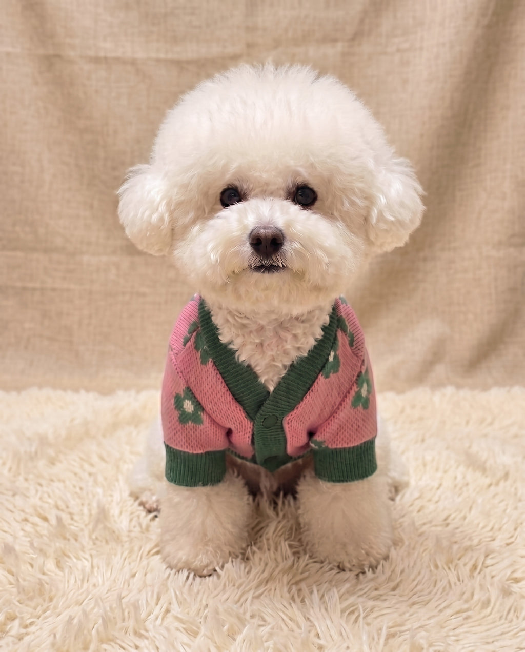Daisy knit dog cardigan