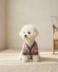 Daisy knit dog cardigan