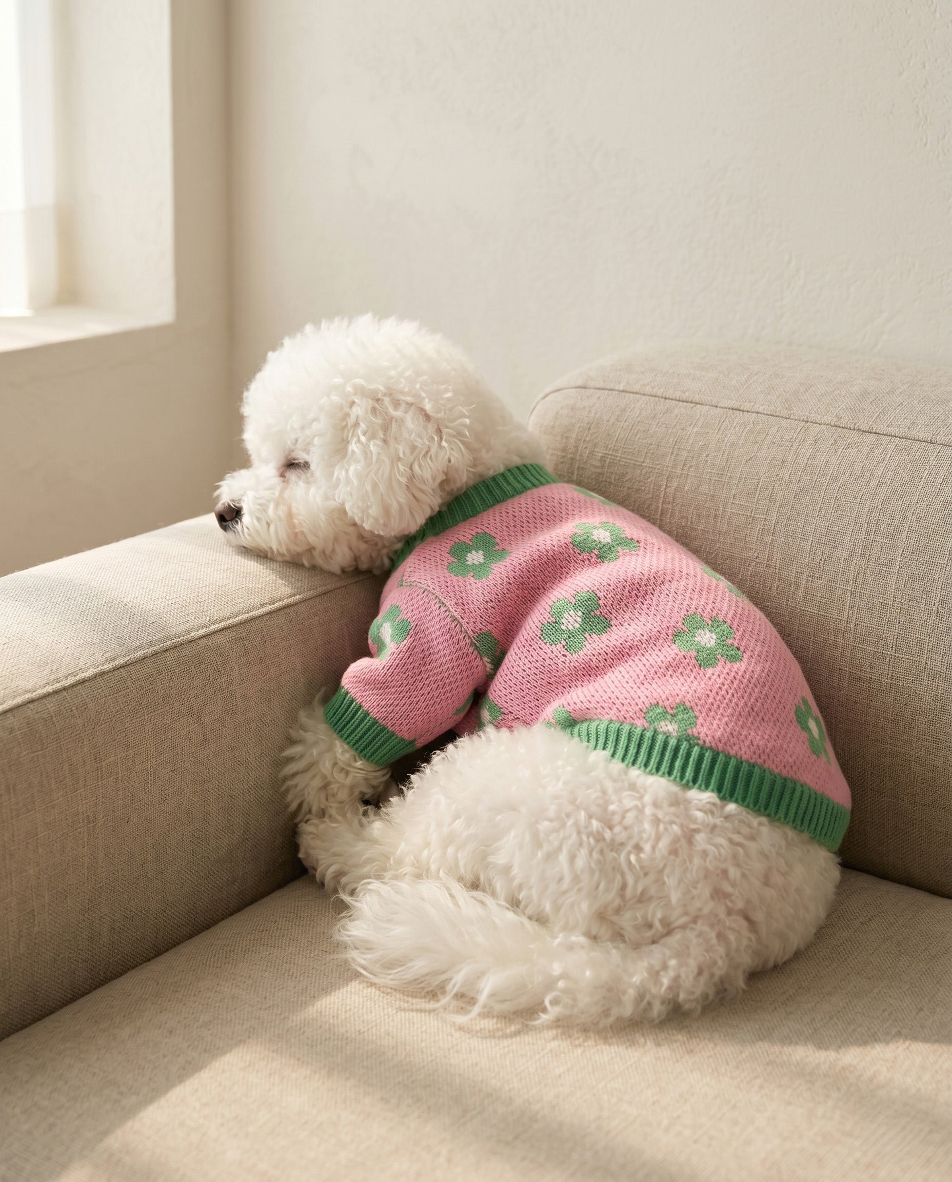 Daisy knit dog cardigan